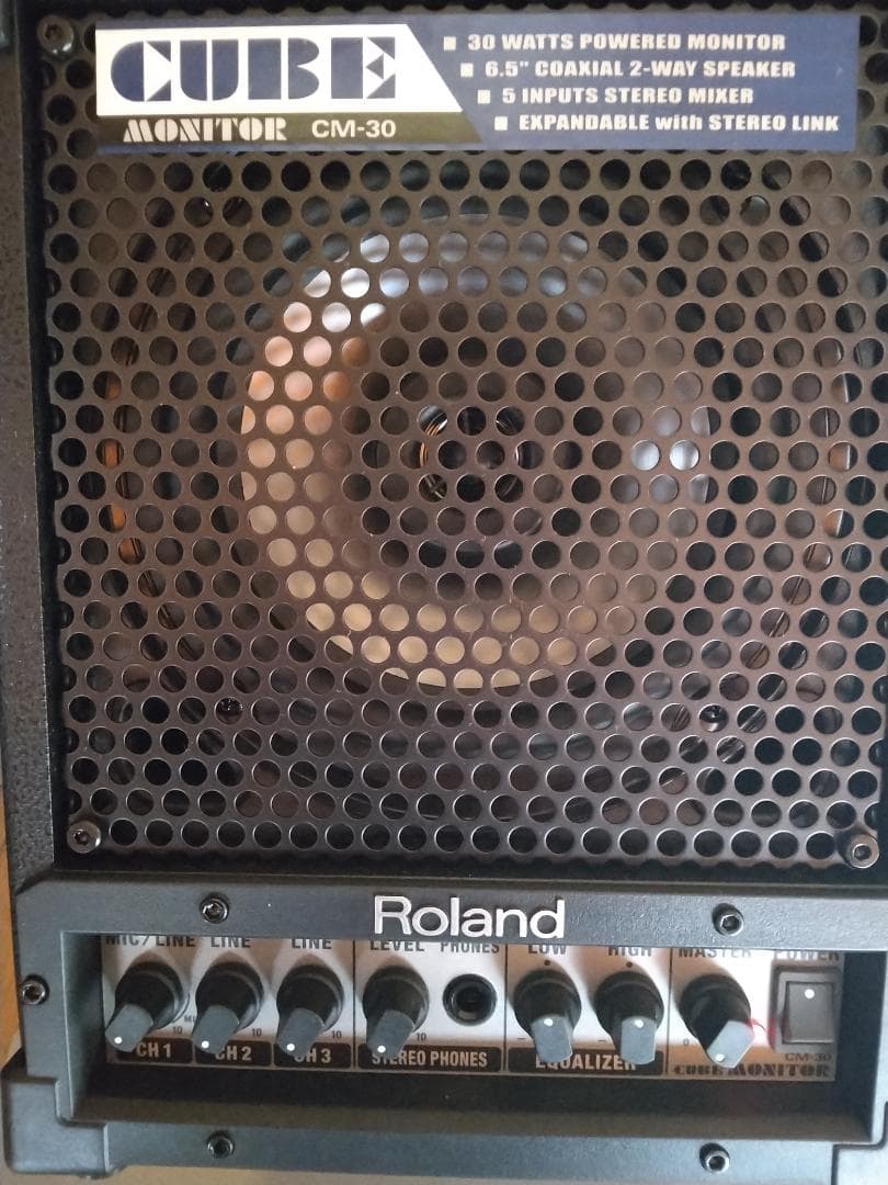 鍵盤楽器 Roland CUBE Monitor CM-30