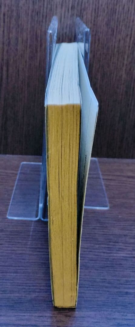 小説 デビルメイクライ Devil May CryVolume. 1 英語版