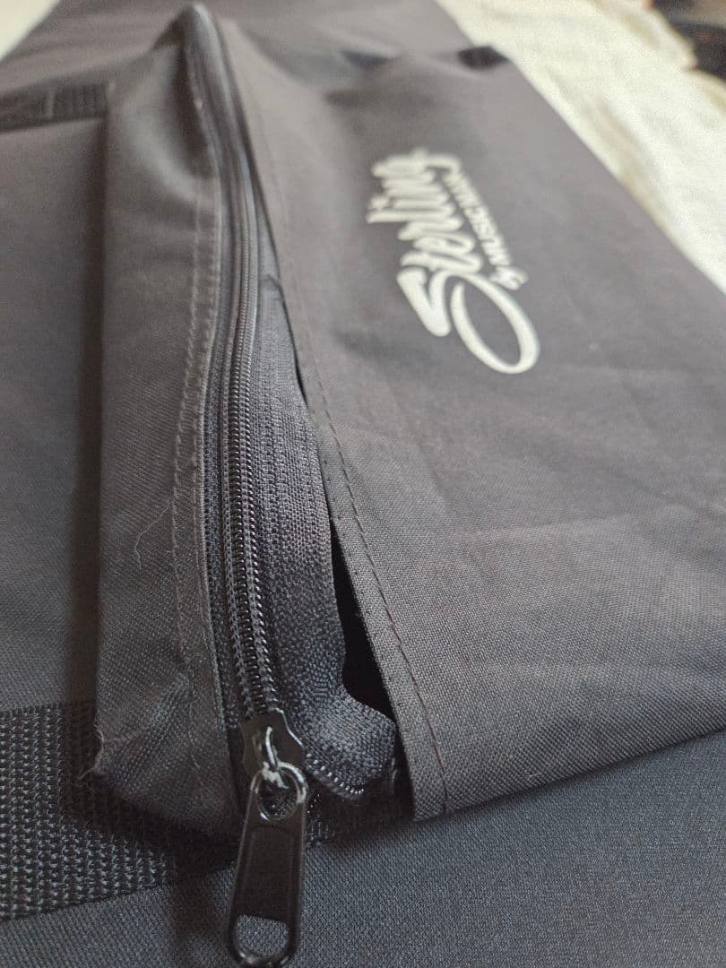 Sterling by MUSICMAN Ray4スティングレ アクティブベース