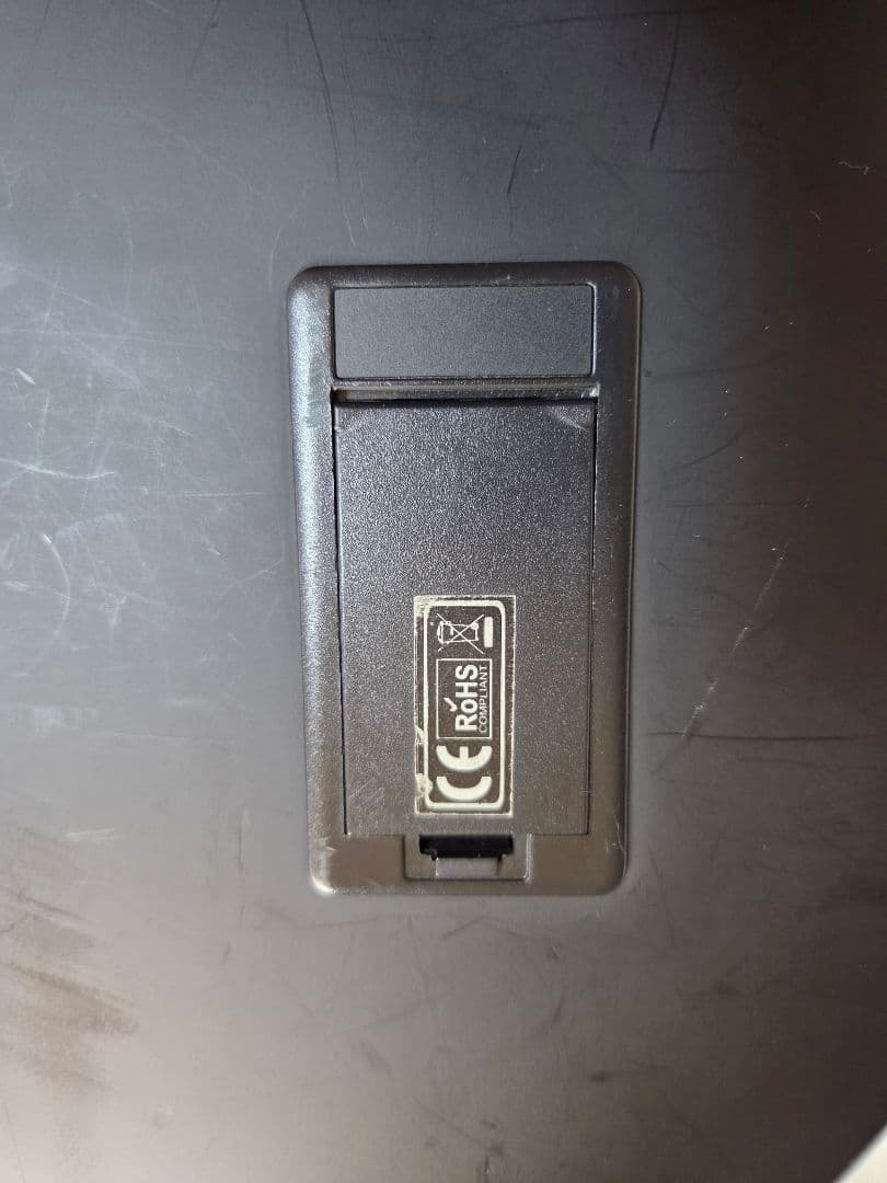 Sterling by MUSICMAN Ray4スティングレ アクティブベース