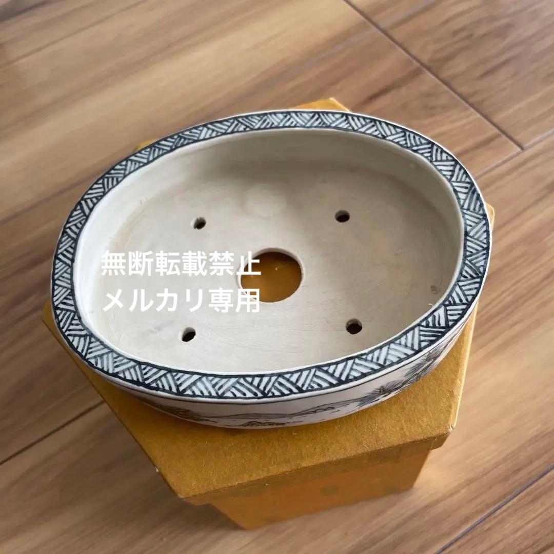 盆栽鉢　桑津香石　絵鉢　楕円形　浅型　山野草　小品盆栽
