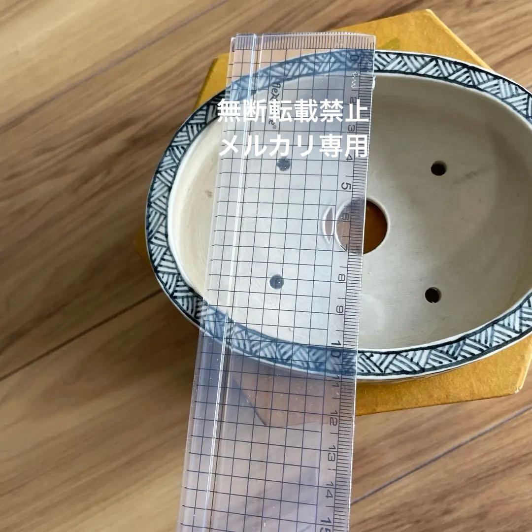 盆栽鉢　桑津香石　絵鉢　楕円形　浅型　山野草　小品盆栽