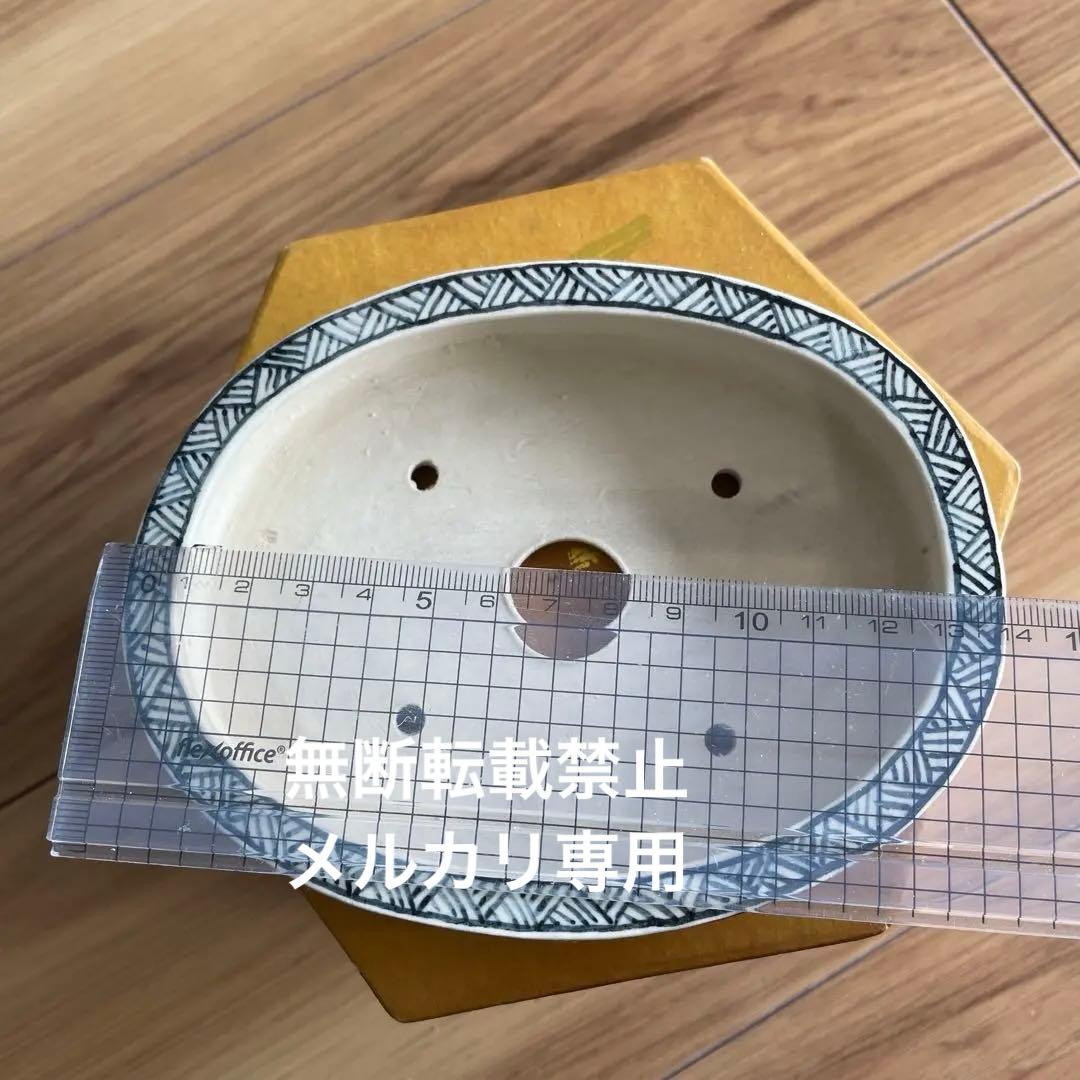 盆栽鉢　桑津香石　絵鉢　楕円形　浅型　山野草　小品盆栽