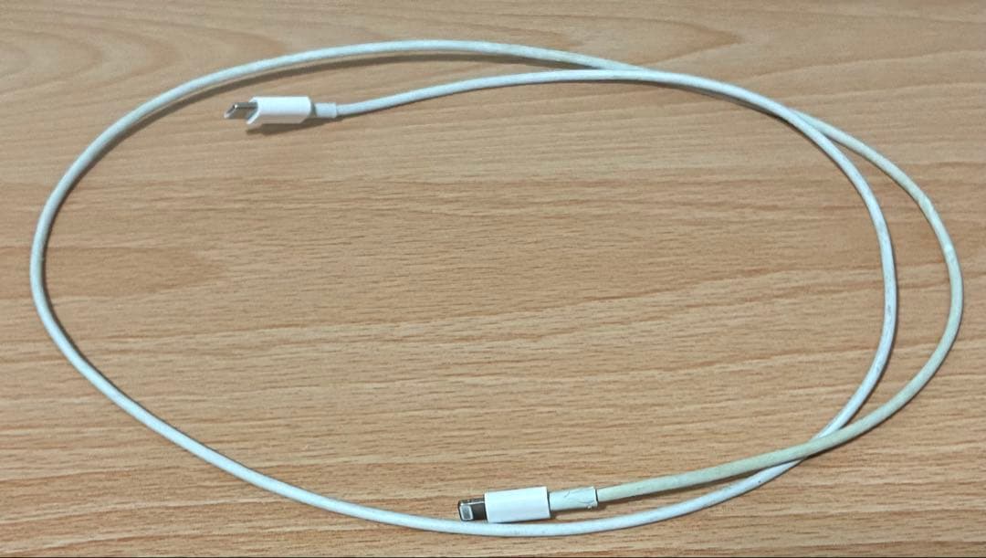 【箱・イヤーチップ無】Airpods Pro 第2世代 Lightning