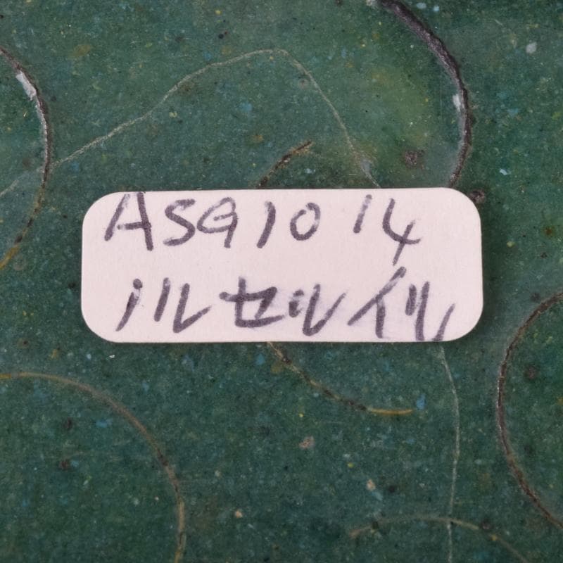 中国　古七宝琺瑯彩　七宝焼　安藤七宝店　盤　皿　2点　時代箱付　M　R9532B