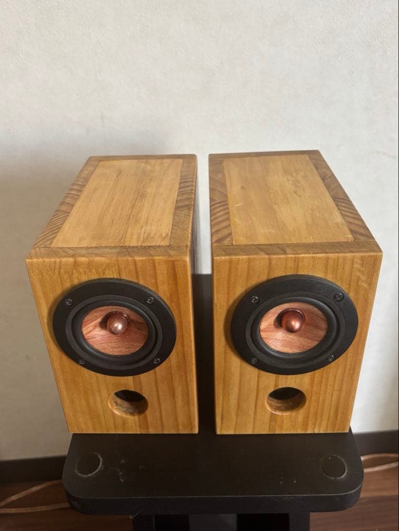 小型自作スピーカー　ウッドコーン使用