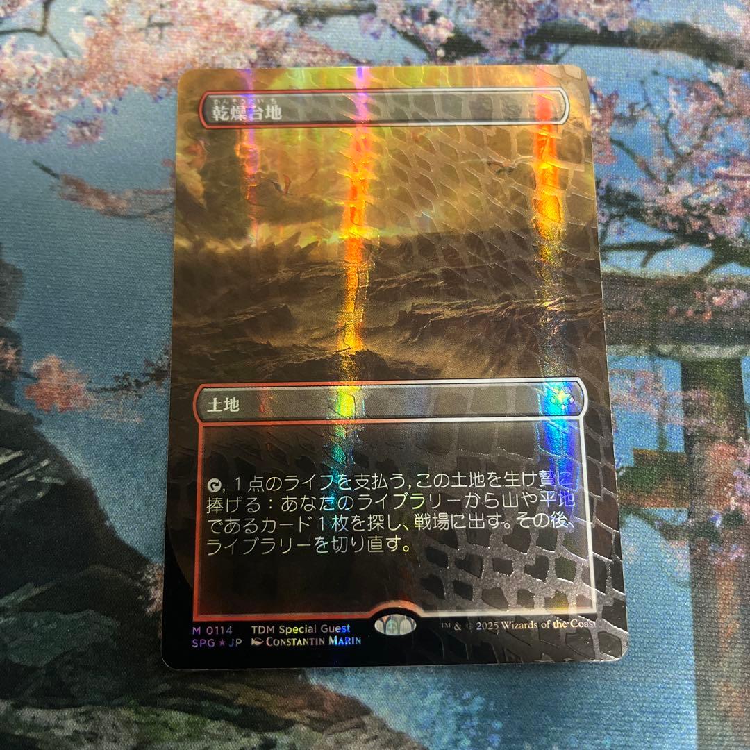 【タケ】MTG 乾燥台地/Arid Mesa ドラゴンスケイルFoil