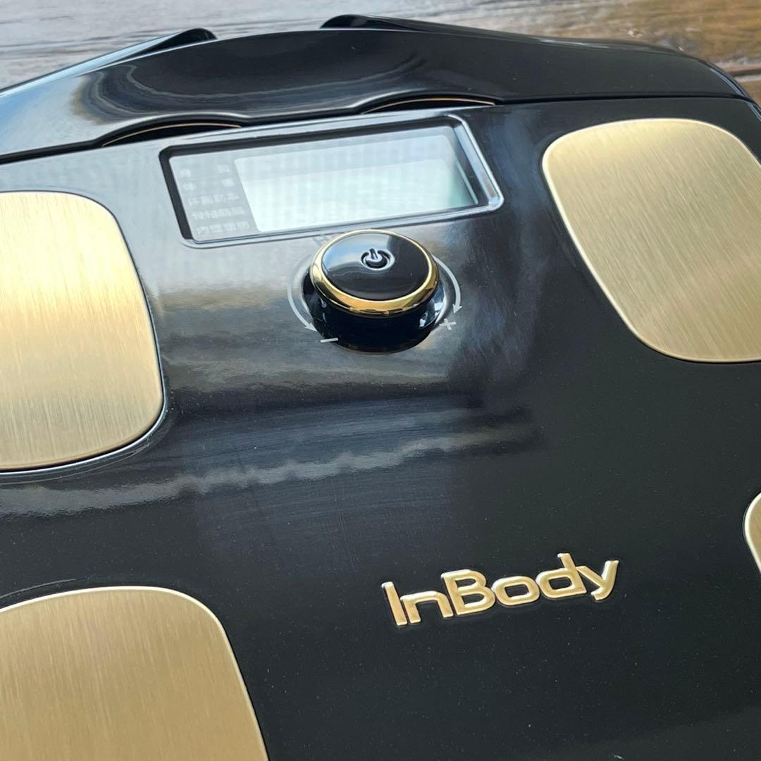 【極美品】InBody Dial H20 ミッドナイトブラック