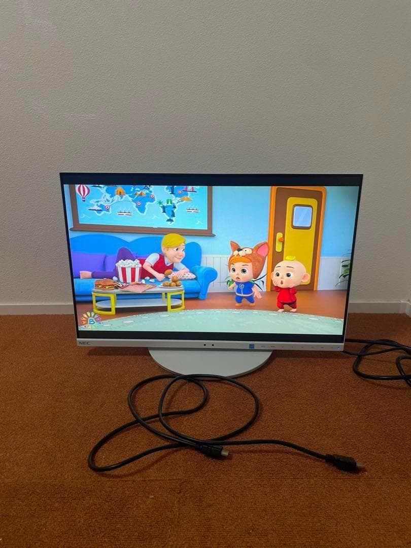 NEC MultiSync 19年製LCD-EA231WUモニター ディスプレイ
