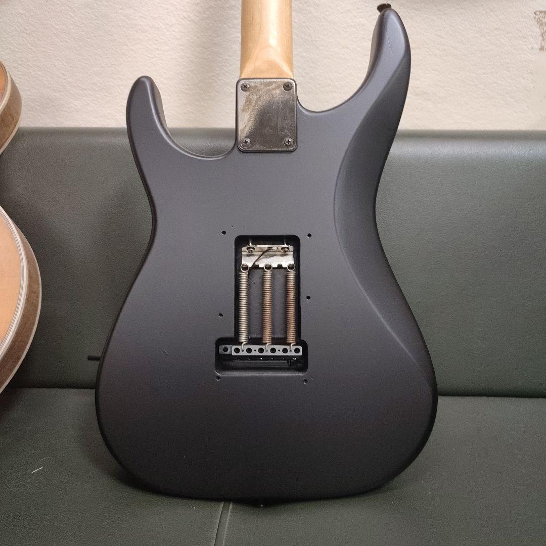 FERNANDES エレキギター マットブラック