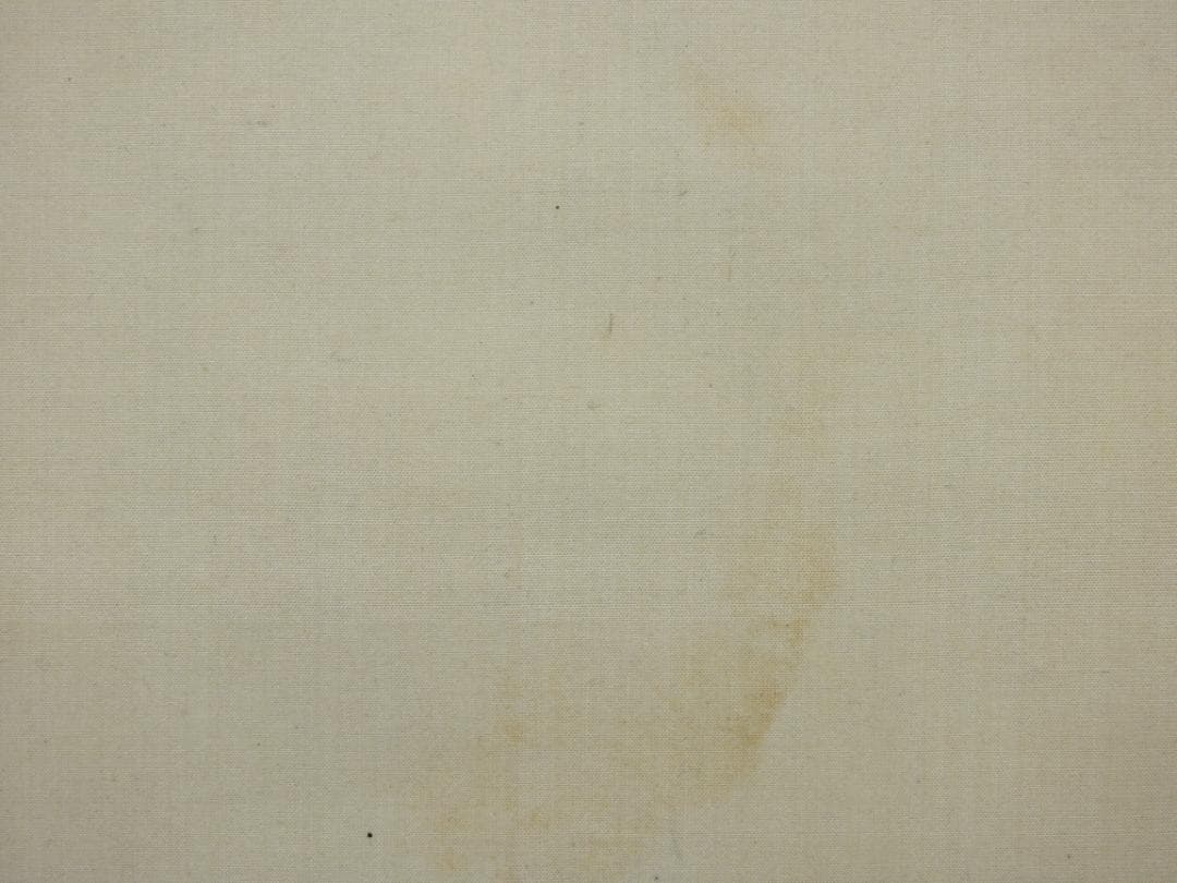 杉浦俊香　山水画　極め箱　MA922