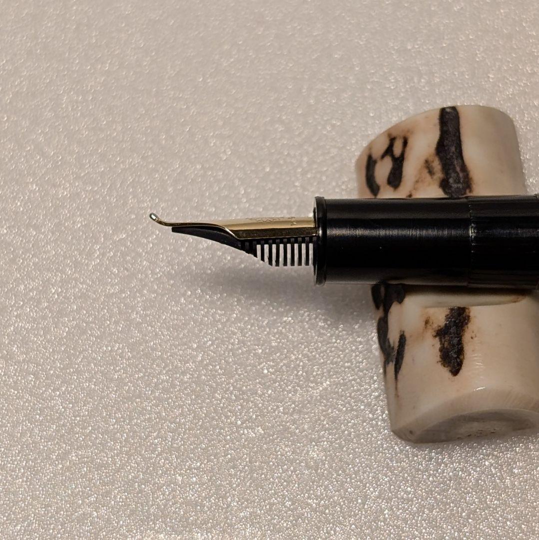 WANCHER ワンチャー 呉竹 近代蒔絵 万年筆 SHARA-Qニブ