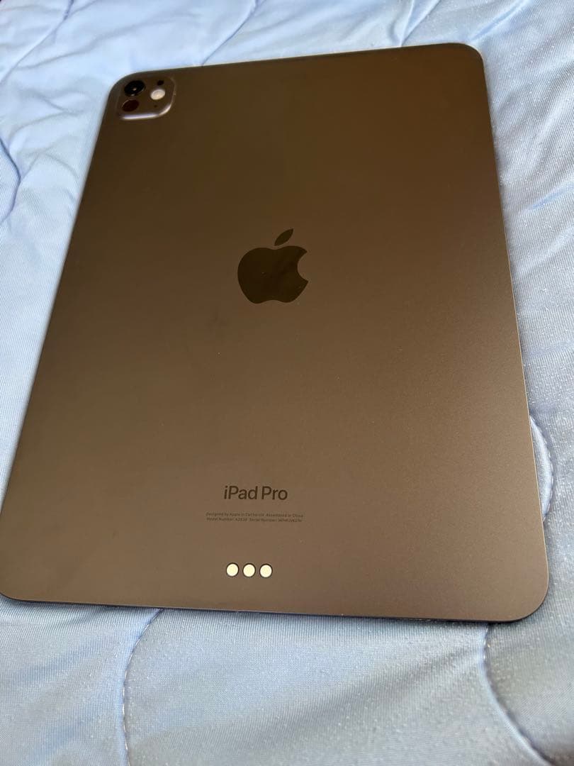 Apple iPad Pro m4 スペースグレー 本体 256