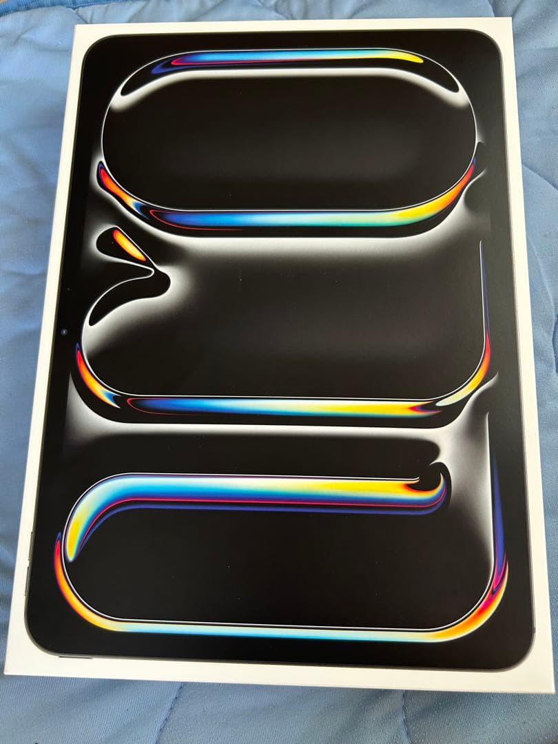 Apple iPad Pro m4 スペースグレー 本体 256