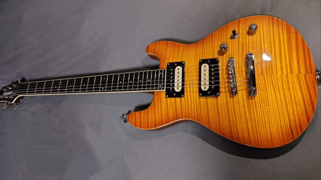 FERNANDES APG-55AMB 2000年代初頭