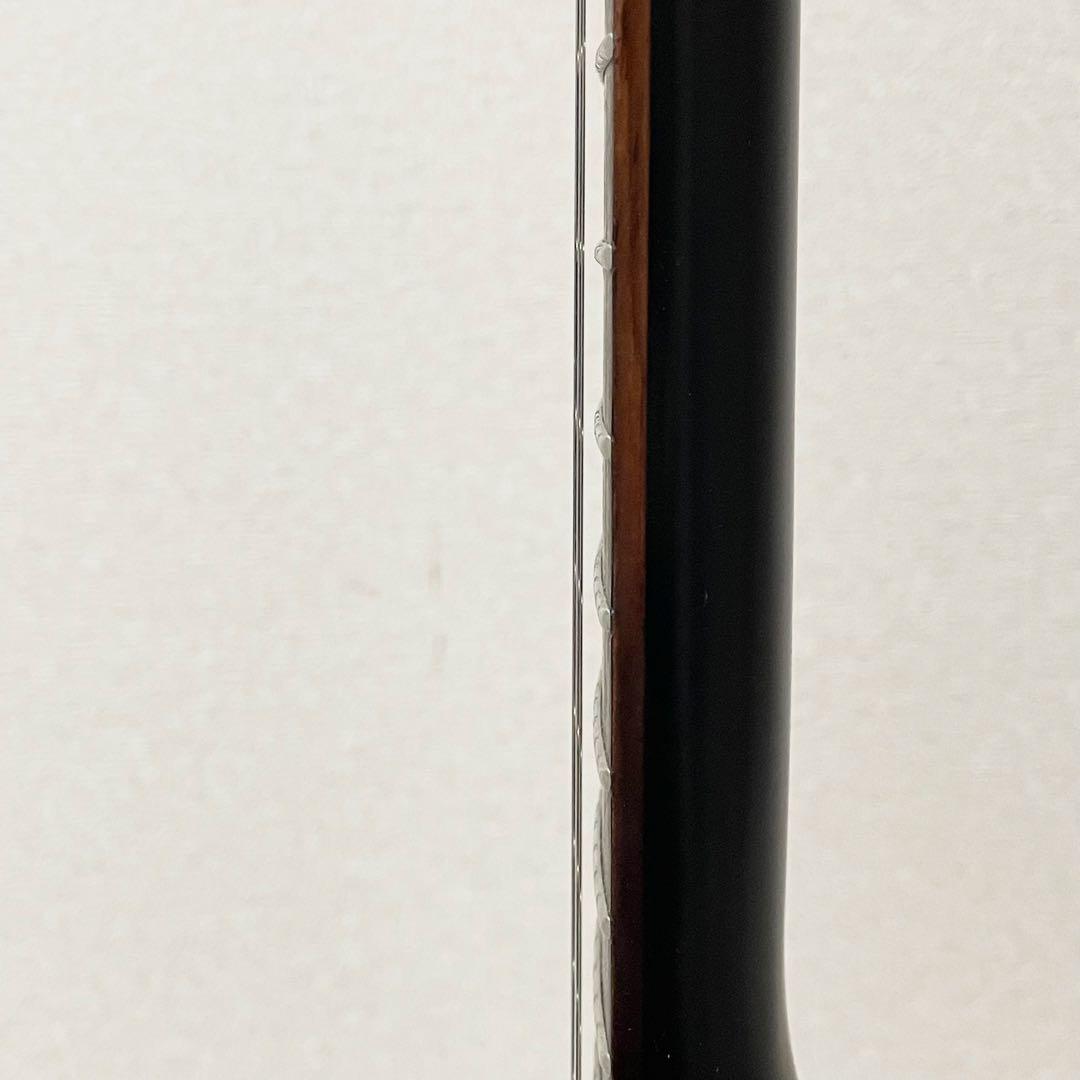 【希少】エピフォン 1958 Goth エクスプローラー　ゴシック