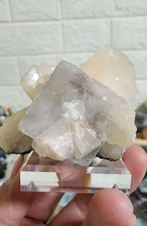 蛍石上のゼオライト