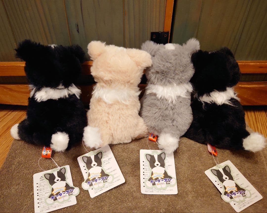 くったりボーダーコリー おりこうさん STコンプリート