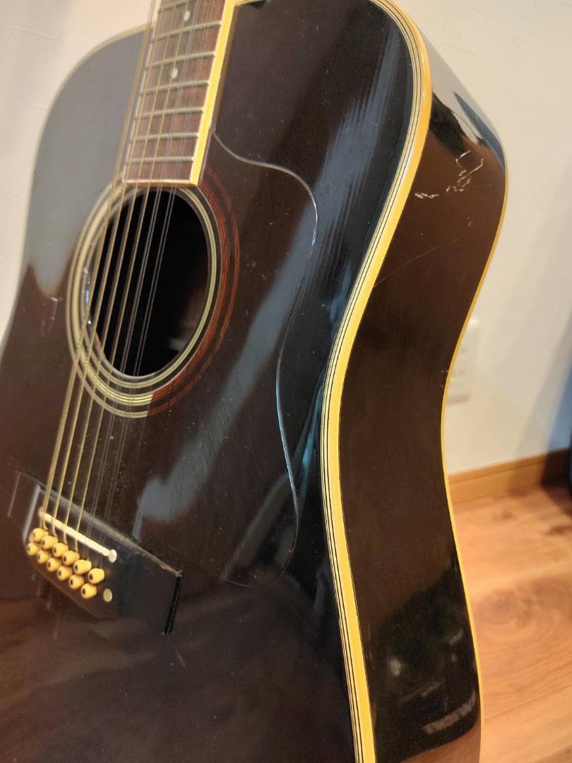 タカミネ 12弦ギター エレアコ アコースティック ギター
