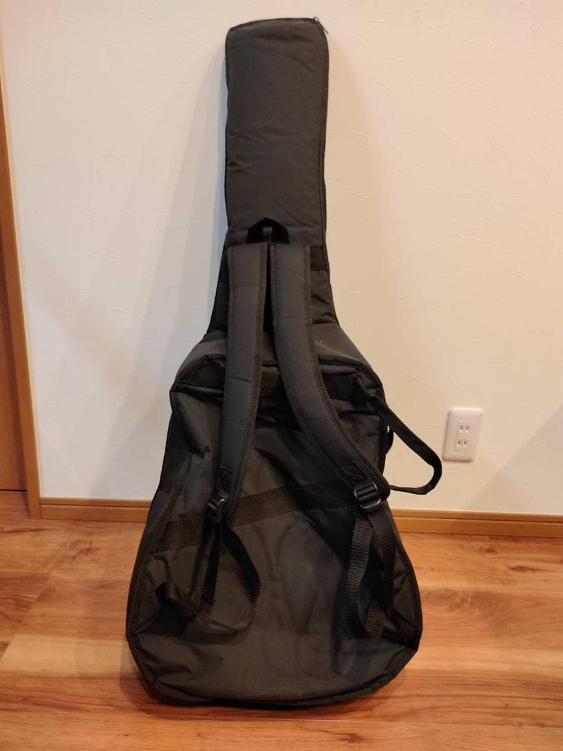 タカミネ 12弦ギター エレアコ アコースティック ギター