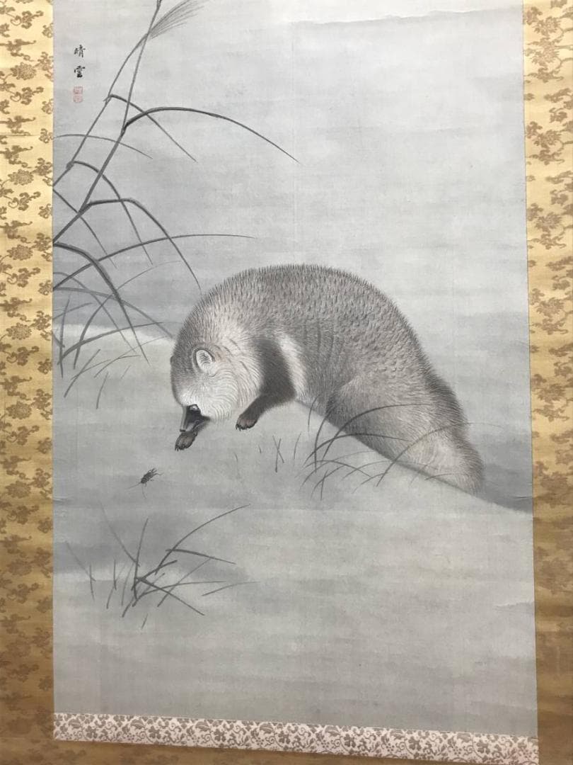 【真作】晴雲/月下狸図/タヌキ図/花鳥図/掛軸/名家伝来/AC-670