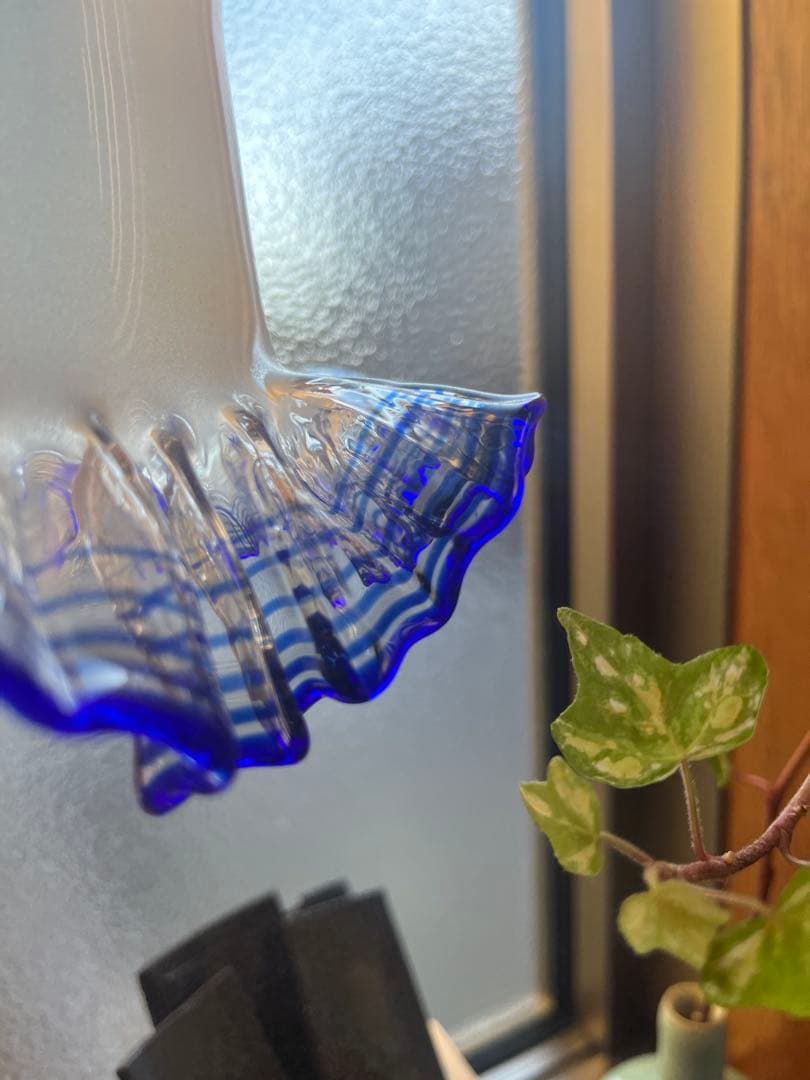 もこもこ（期限1月6日まで）