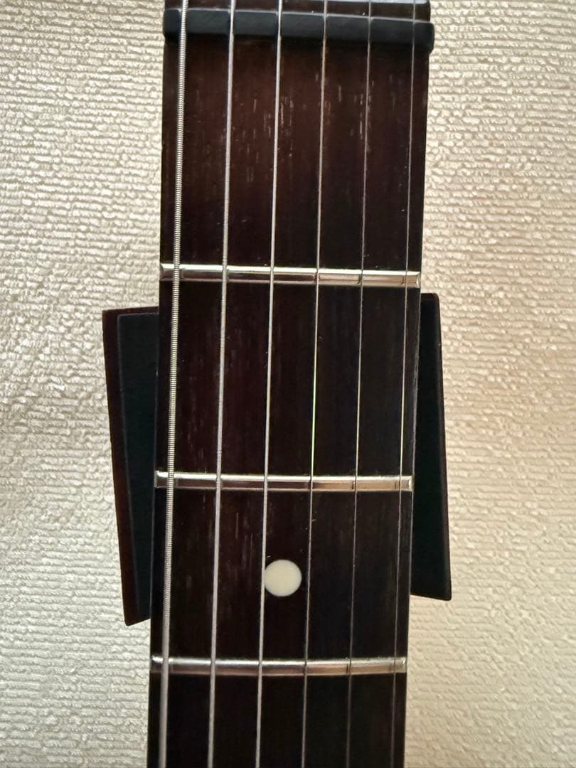 Bill Lawrence BCOR-55B ／ストラップ／ソフトケース付き