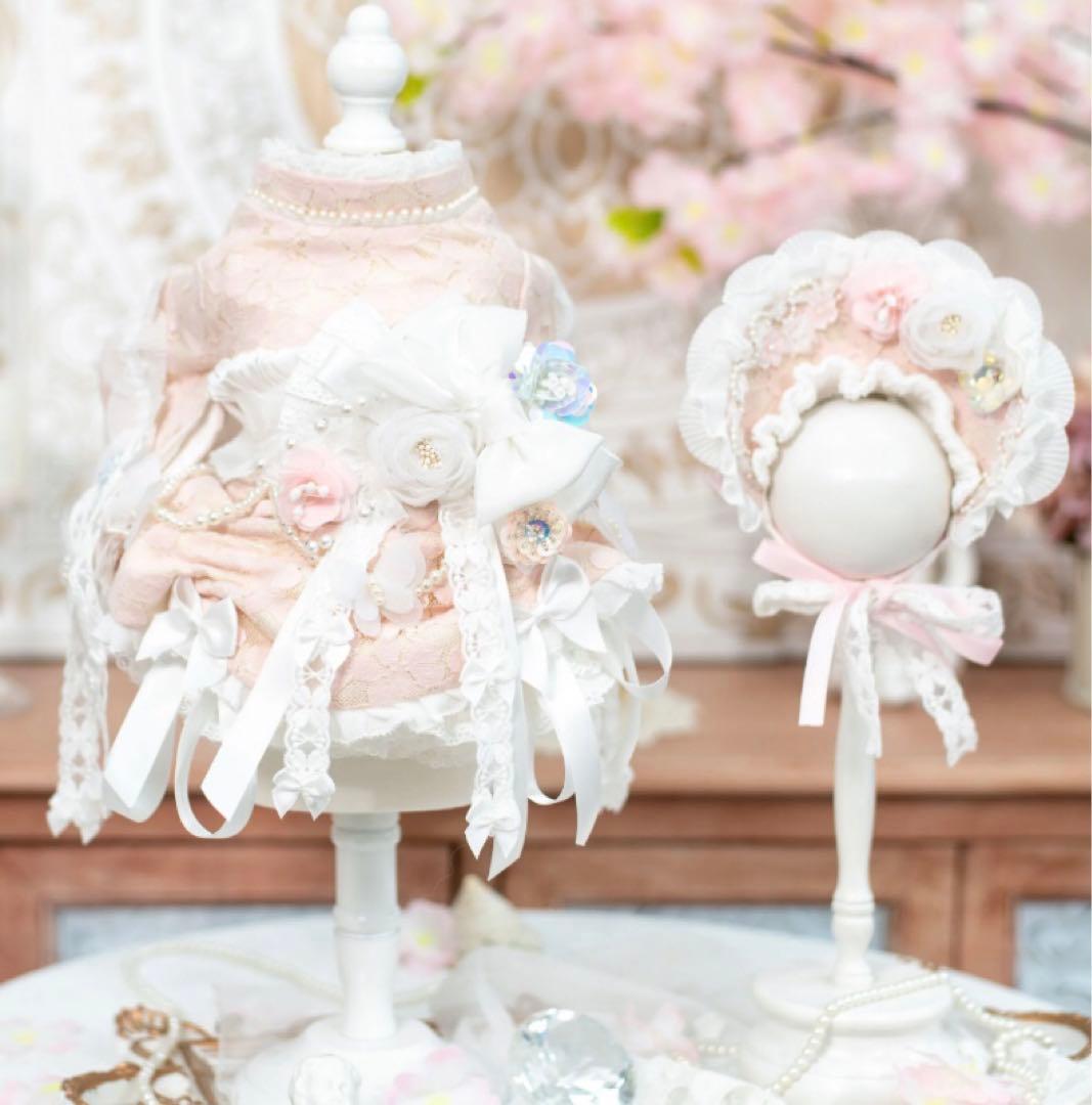 【crazyforWAN】Fairy Princess