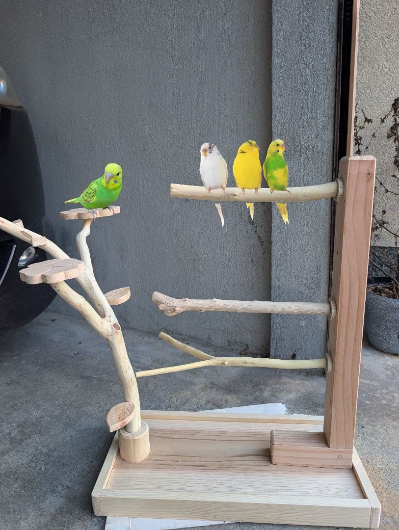 バードアスレチック32　(止まり木5本付き)