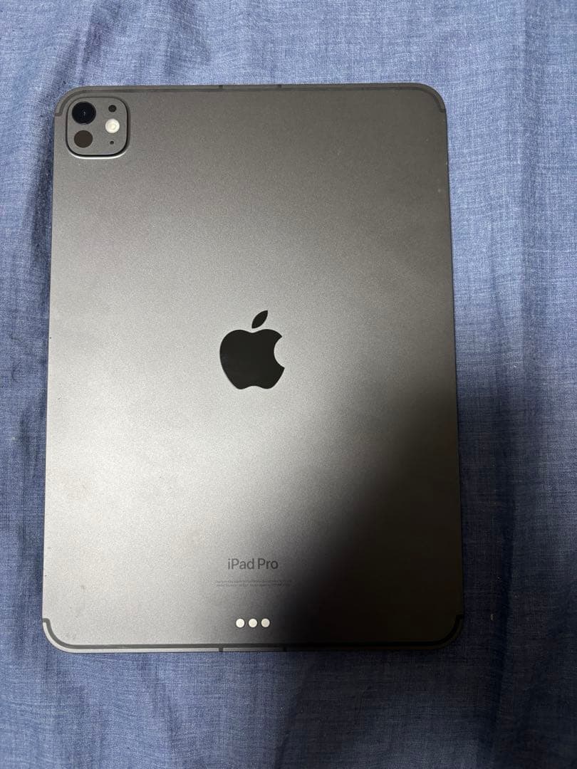 iPad Pro11 M4 256GB セルラー Pencil付