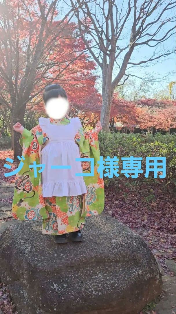 アンティーク着物&被布エプロンセット 大正ロマン 七五三 女の子