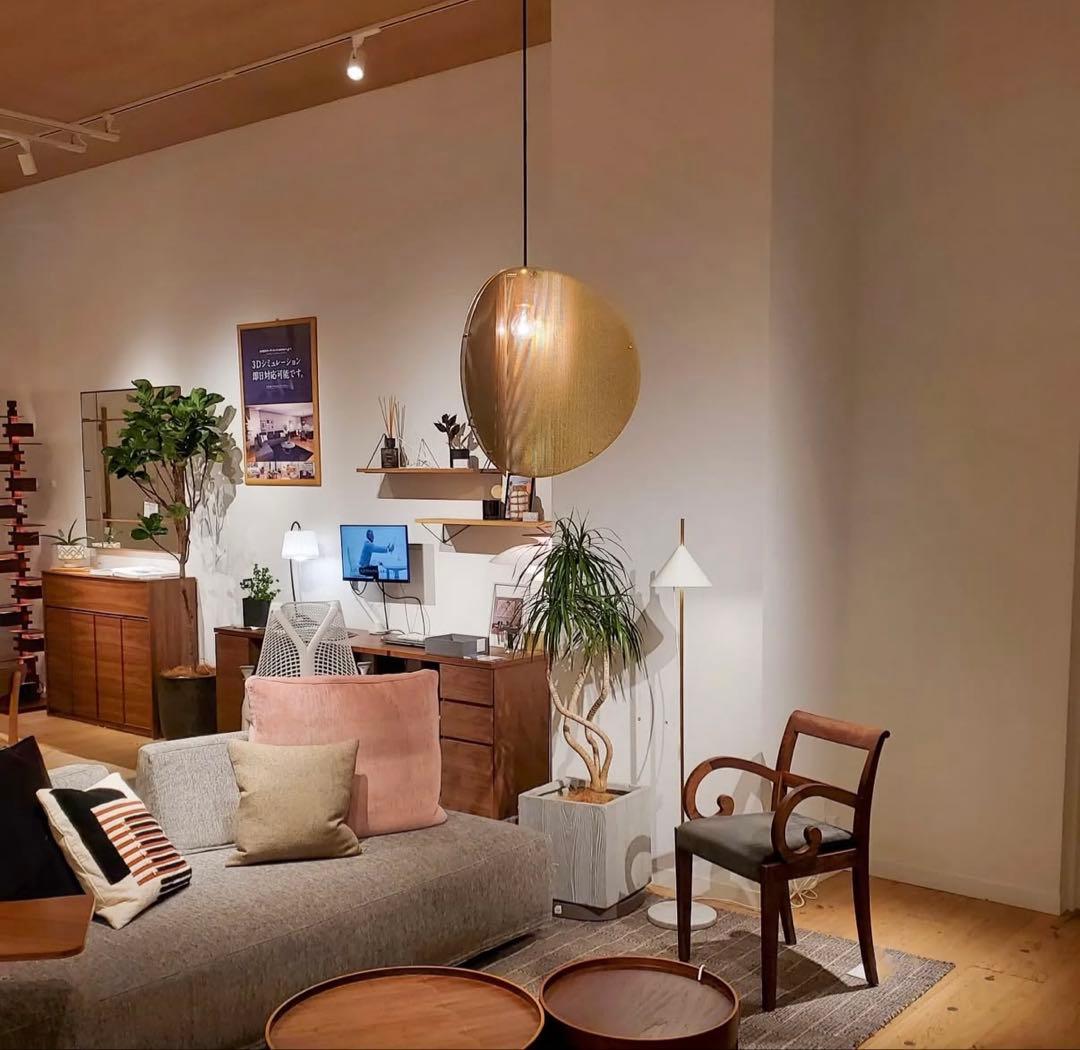 ACTUS/アクタス PROXIMA/プロキシマ ペンダントライト