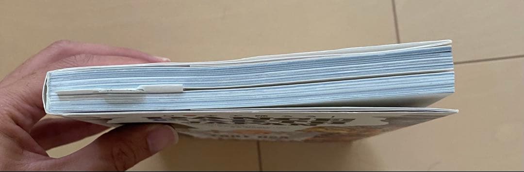 EXILE USA直筆サイン入り DANCE EARTH 宇佐美吉啓