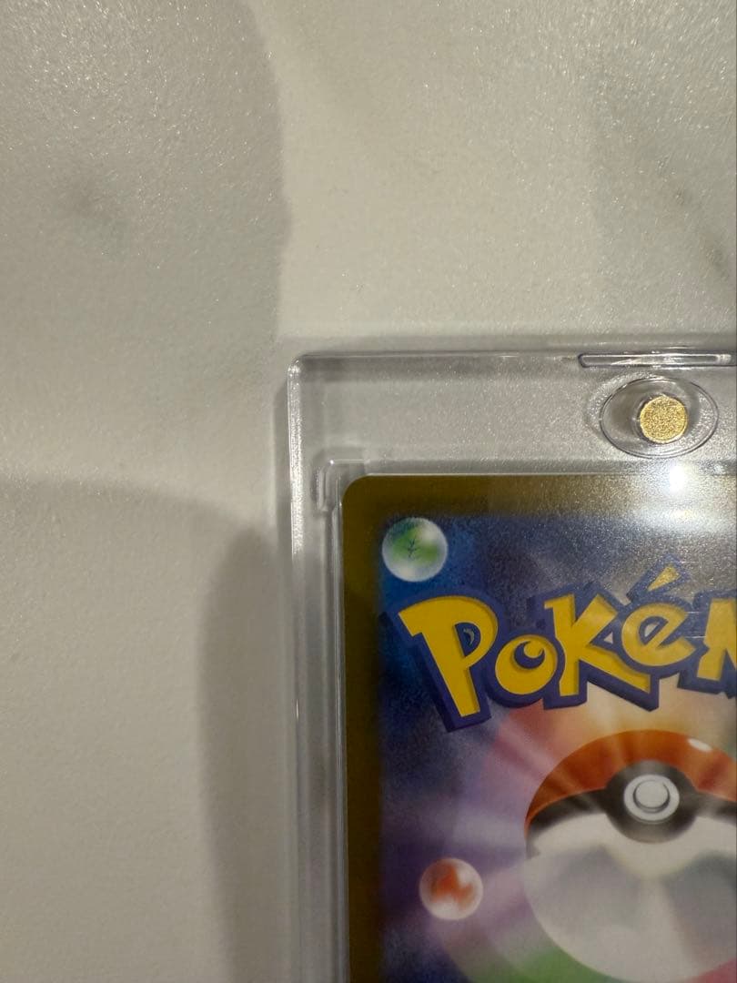 鯉丸メガリザードンX EX SARポケモンカード