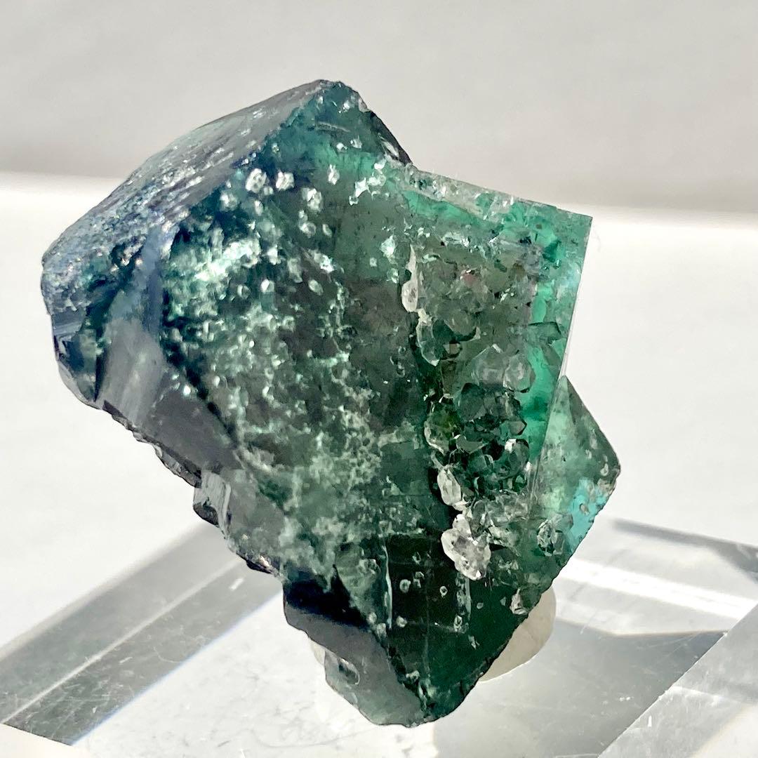 481 UK イギリス Supernova Pocket フローライト