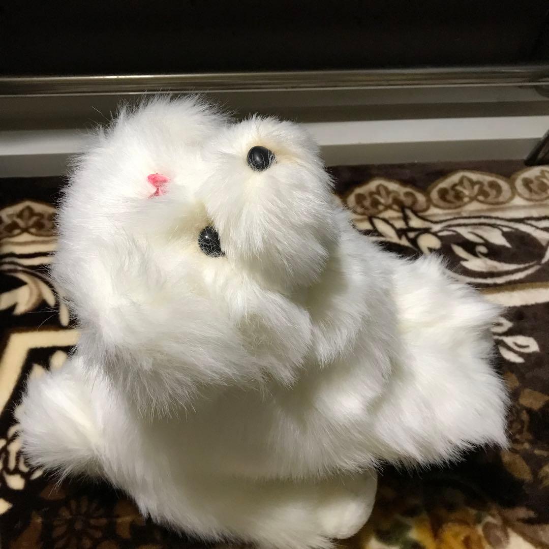 ぬいぐるみ　犬　マルチーズ　ファースト社　タグ付き　美品❣️