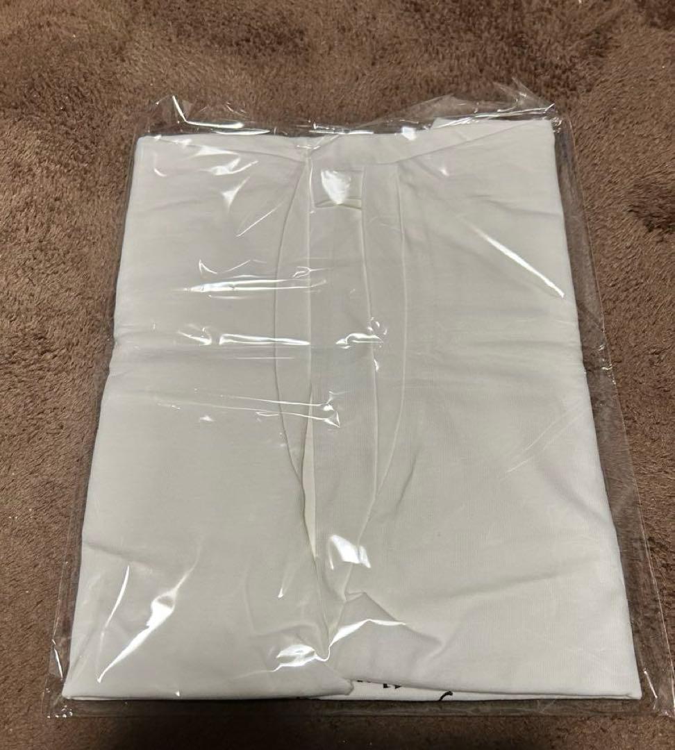 Supreme Dust Tee White ホワイト Ｌ