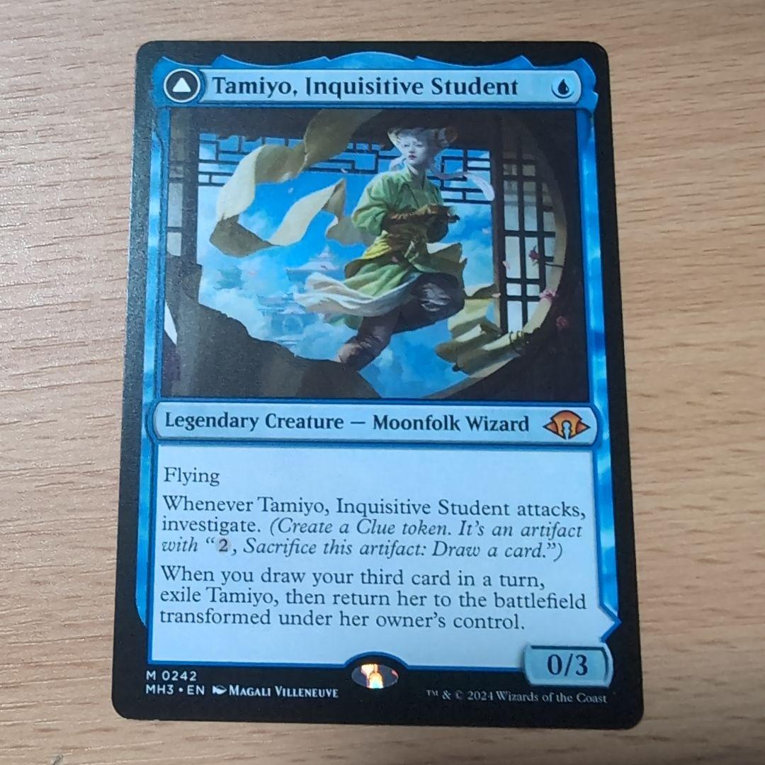 知りたがりの学徒、タミヨウ　英語版　4枚セット