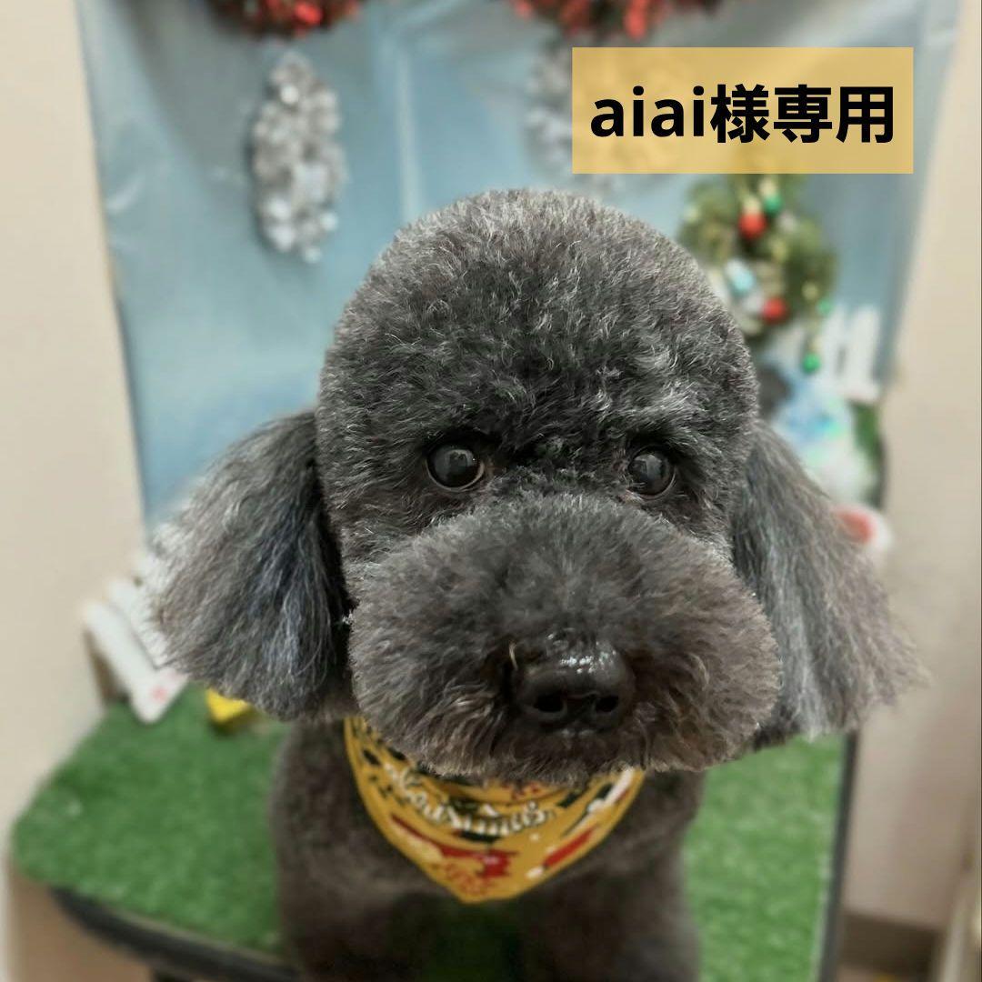 aiai　犬のおやつ