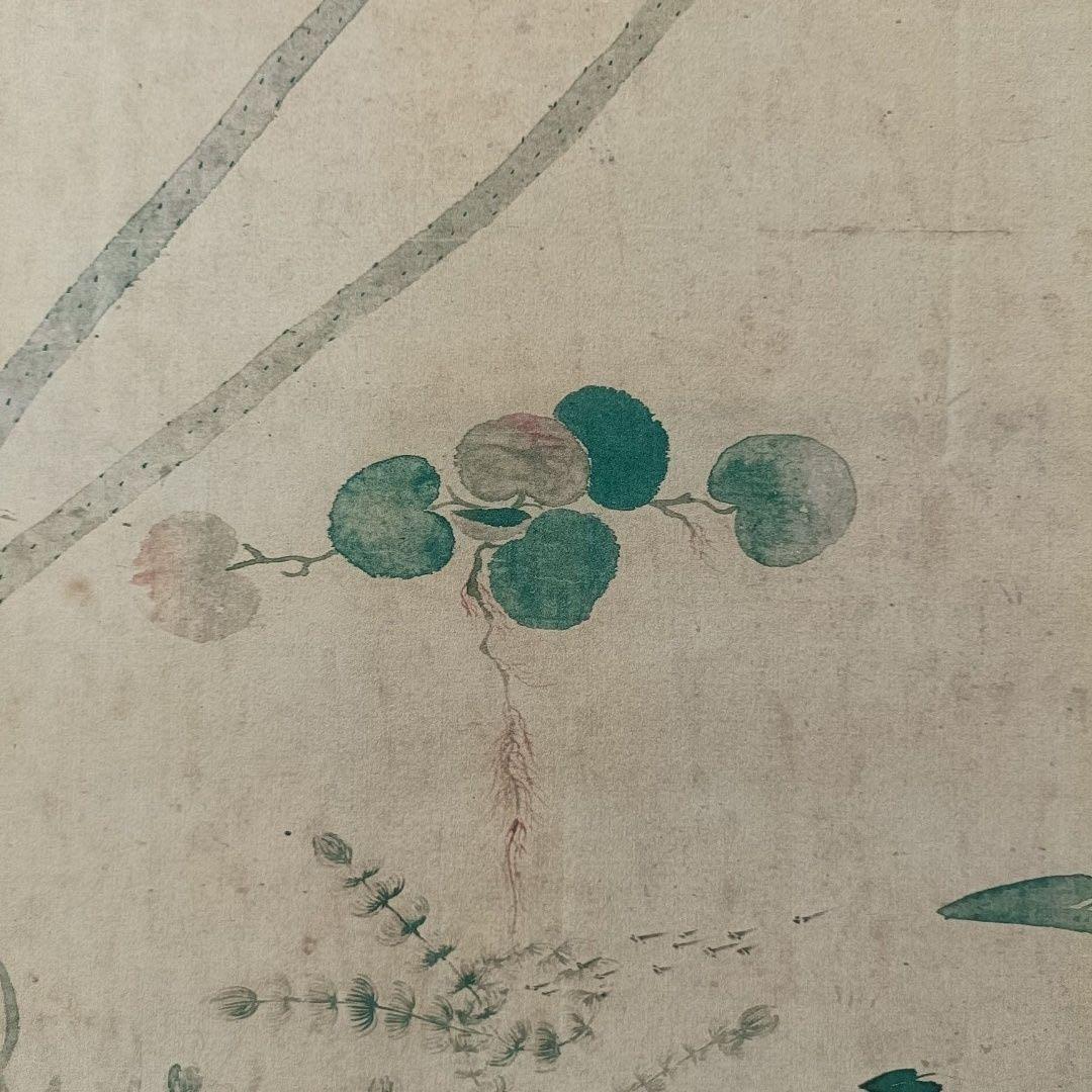 恽冰《蒲塘秋艶図》　三尺中堂　掛軸　中国名人書画　花鳥画　壁掛け装飾