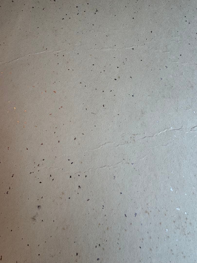 【希少】小松均　日本画　色紙