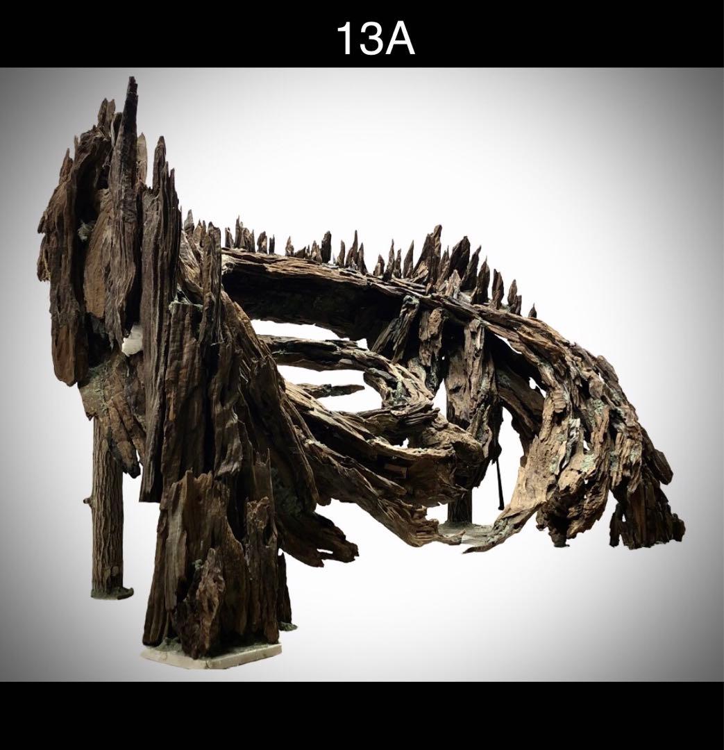 【オンリーワン品】森の螺旋幻想: 90センチ水槽の魔法的アクアレイアウト