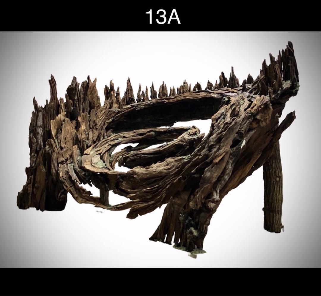 【オンリーワン品】森の螺旋幻想: 90センチ水槽の魔法的アクアレイアウト