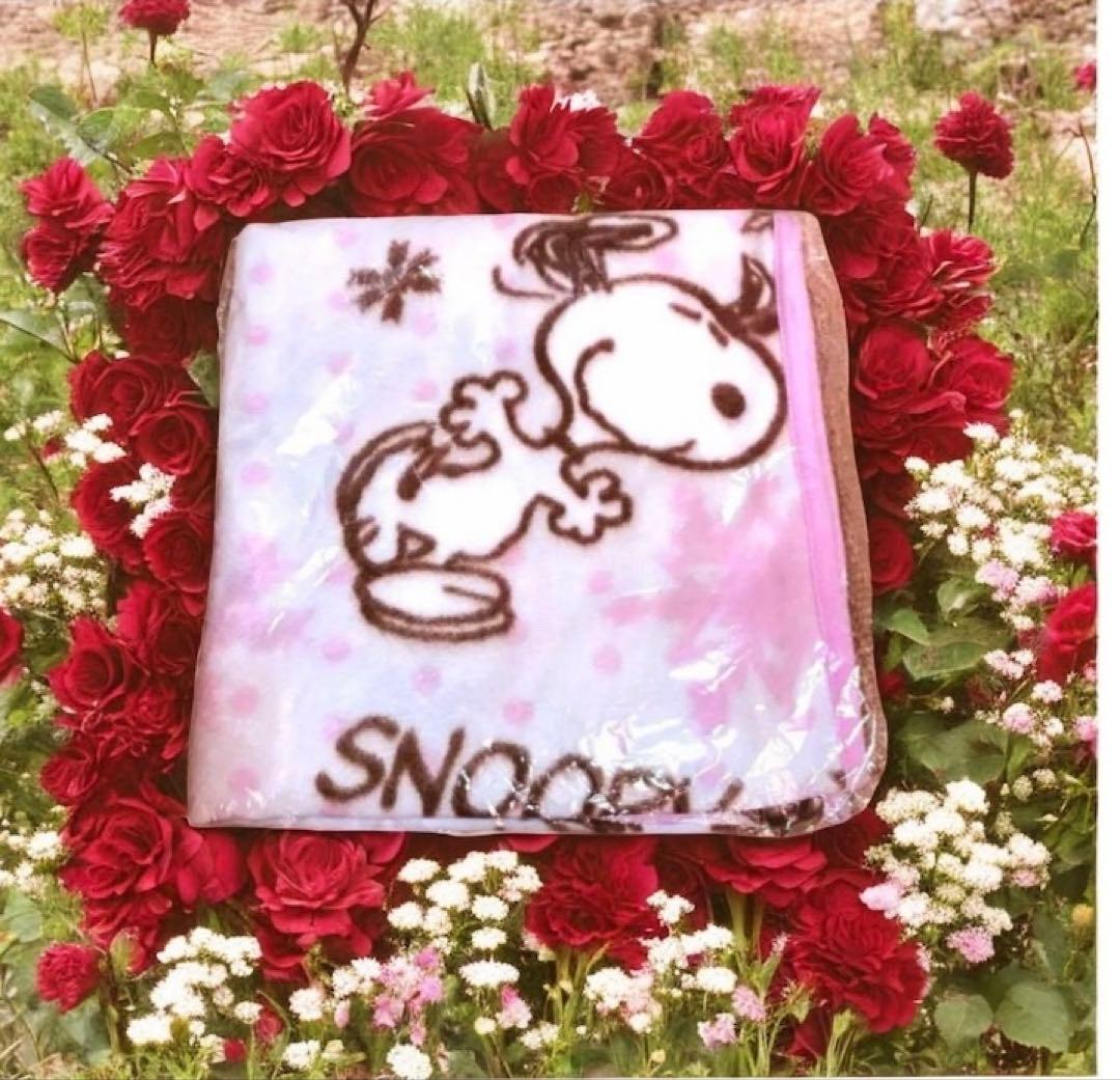 スヌーピー グッズまとめ売り　ぬいぐるみセット　雑貨　Tシャツ　お値下げ中