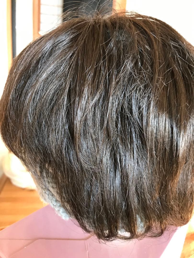 フェザー レオンカウィッグ EX-15 F2モダアクリル人毛