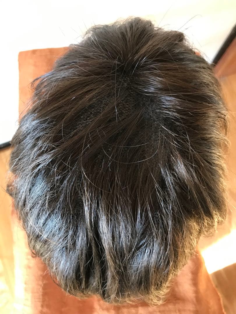 フェザー レオンカウィッグ EX-15 F2モダアクリル人毛