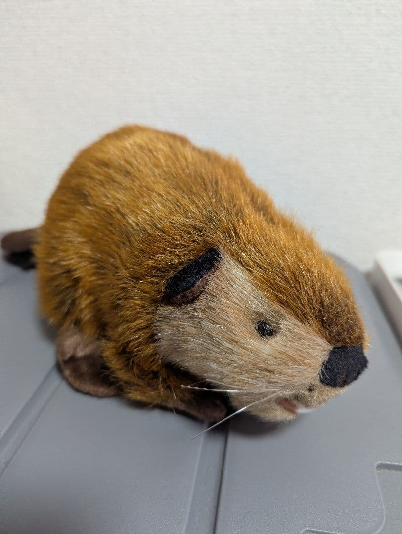 SUPER BEAVER スーパービーバーちゃん 吉徳