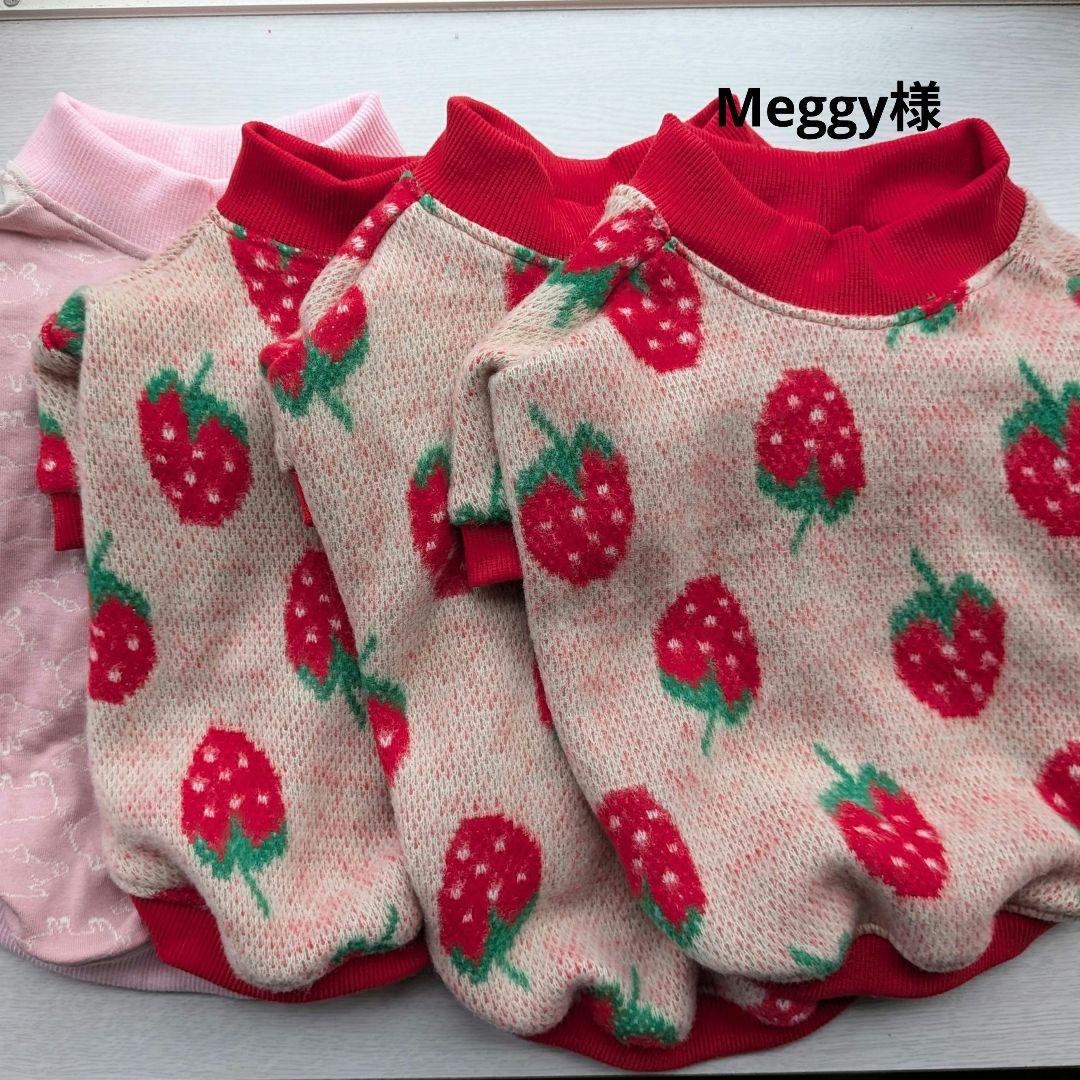 Meggy様　フレブル服　ラグラン　ハンドメイド