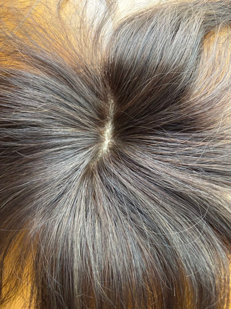 レディースアートネイチャー　オーダーウィッグ