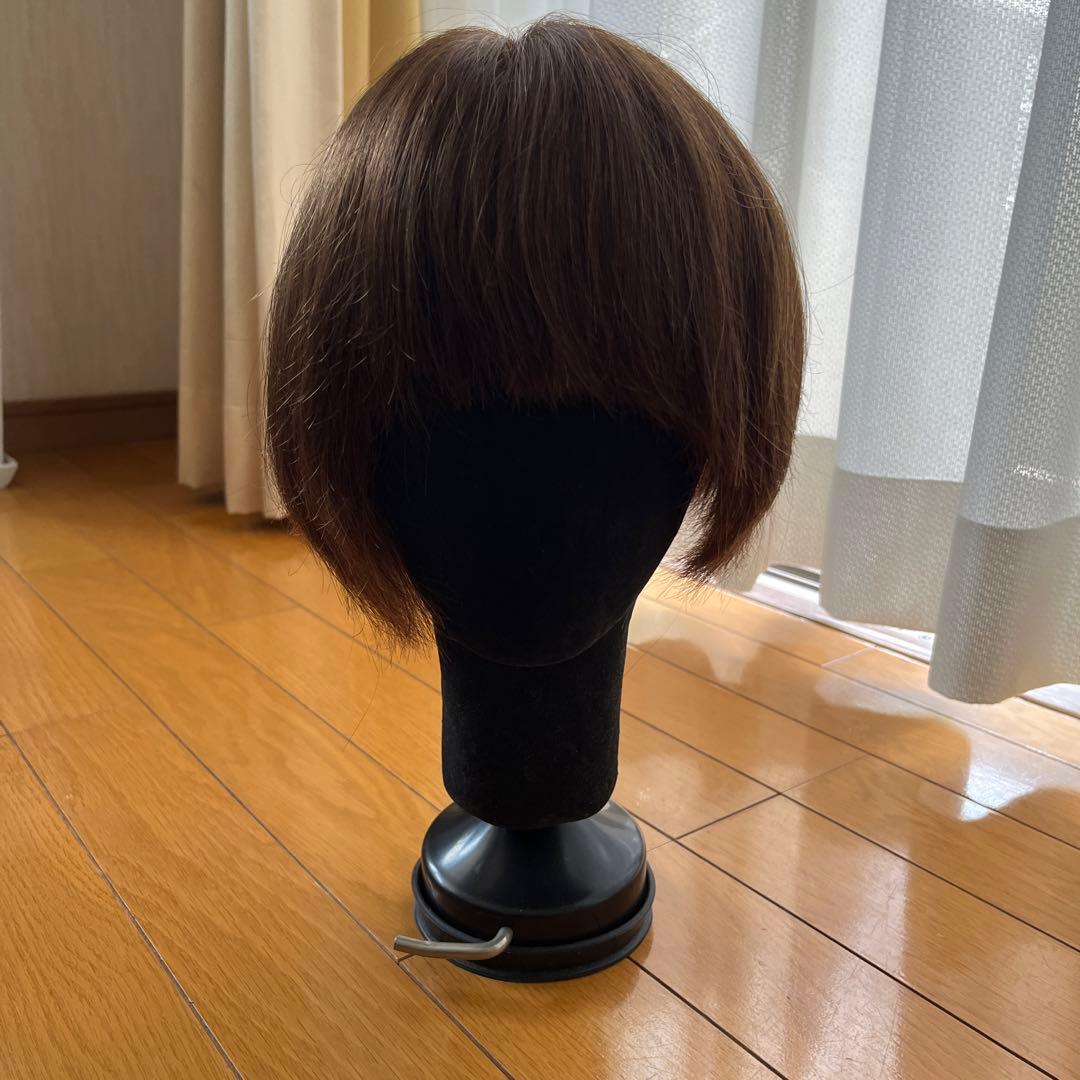 部分ウィッグ　アクアドール
